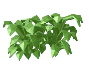 Bush