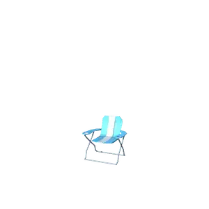 Camp Chair